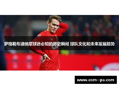 萨格勒布迪纳摩球迷必知的历史瞬间 球队文化和未来发展趋势