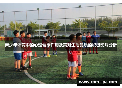 青少年体育中的心理健康作用及其对生活品质的积极影响分析