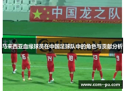 马来西亚血缘球员在中国足球队中的角色与贡献分析 马来西亚血缘球员在中国足球队中的角色与贡献分析