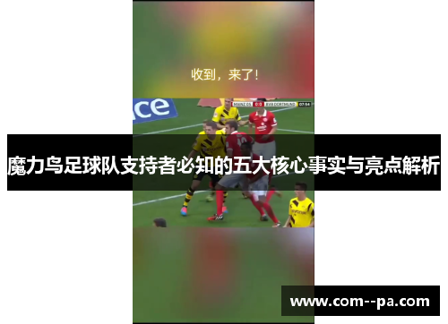 魔力鸟足球队支持者必知的五大核心事实与亮点解析 魔力鸟足球队支持者必知的五大核心事实与亮点解析