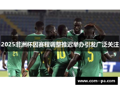 2025非洲杯因赛程调整推迟举办引发广泛关注